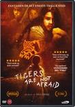 Tigers Are Not Afraid