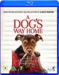 A Dogs Way Home